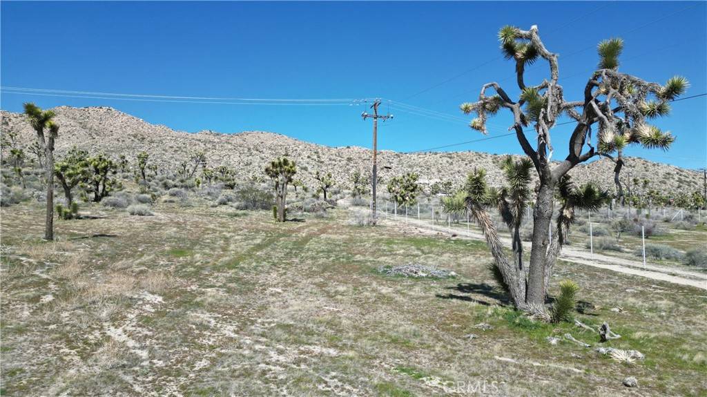 Yucca Valley, CA 92284,56414 Buena Vista DR