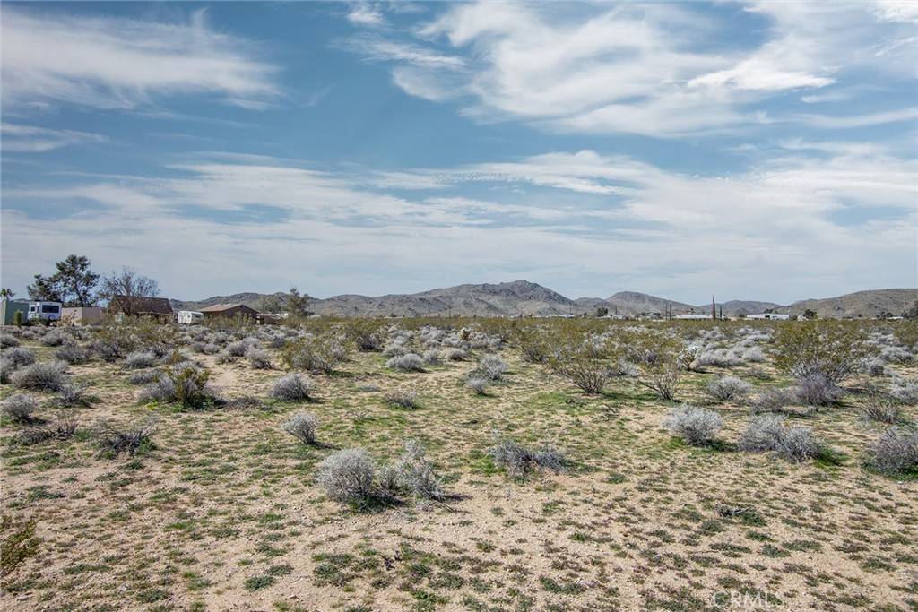 Landers, CA 92285,55875 Desideria DR
