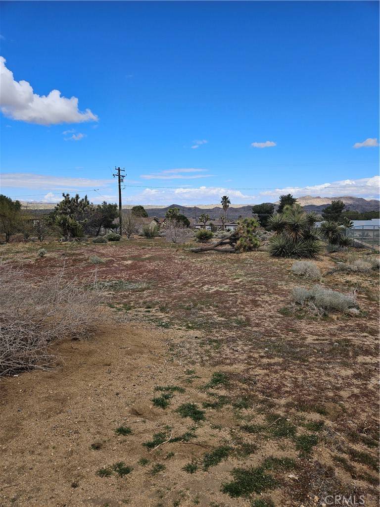 Joshua Tree, CA 92252,60374 La Mirada TRL