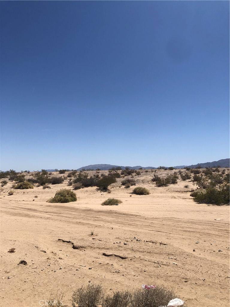 29 Palms, CA 92277,71440 Palmyra