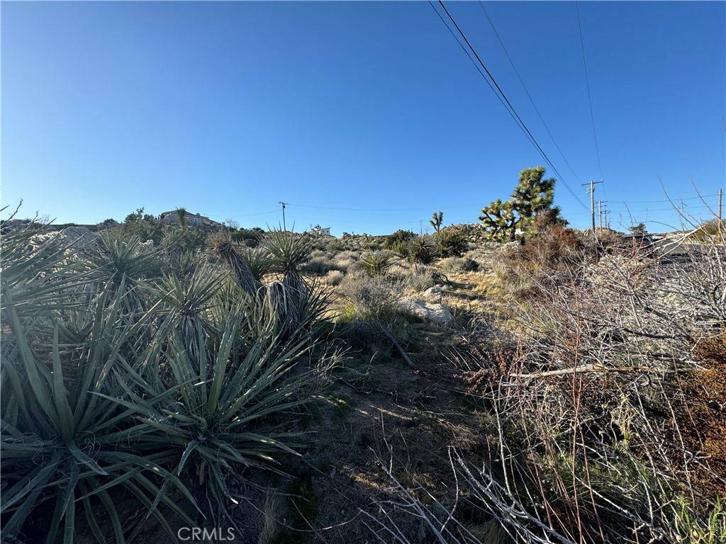 Yucca Valley, CA 92284,0 Buena Suerta RD