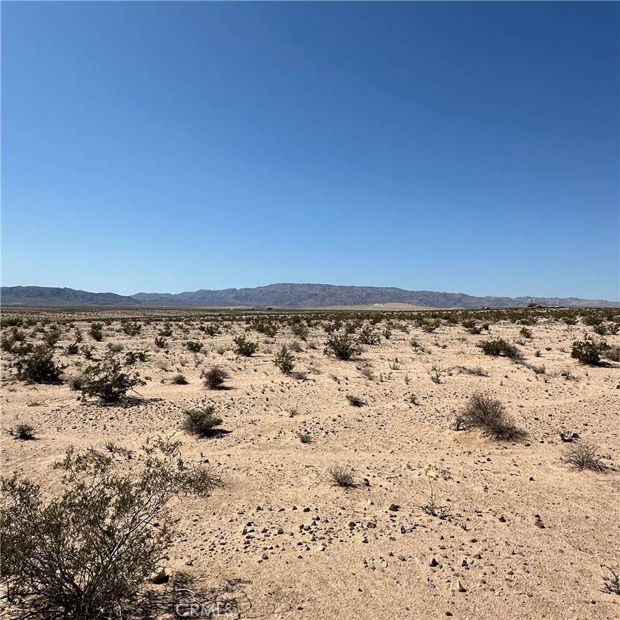 29 Palms, CA 92277,1234 Taco DR