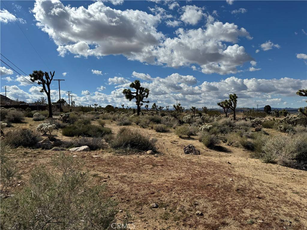 Joshua Tree, CA 92252,7654 Vista RD