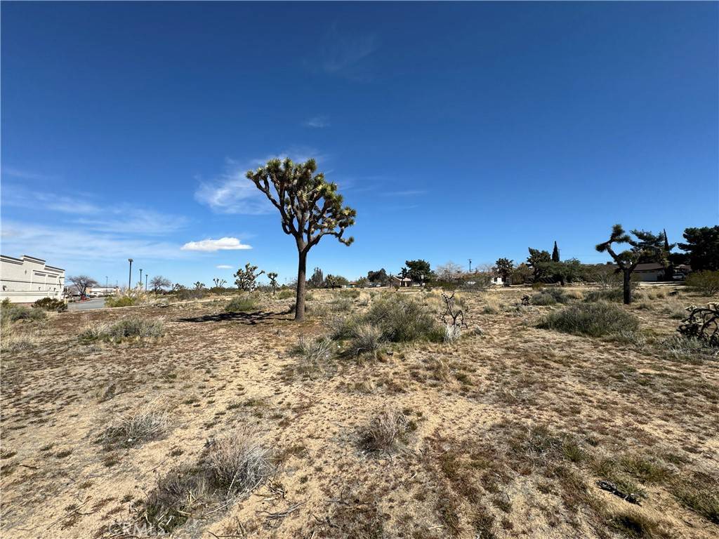 Yucca Valley, CA 92284,0 Balsa AVE