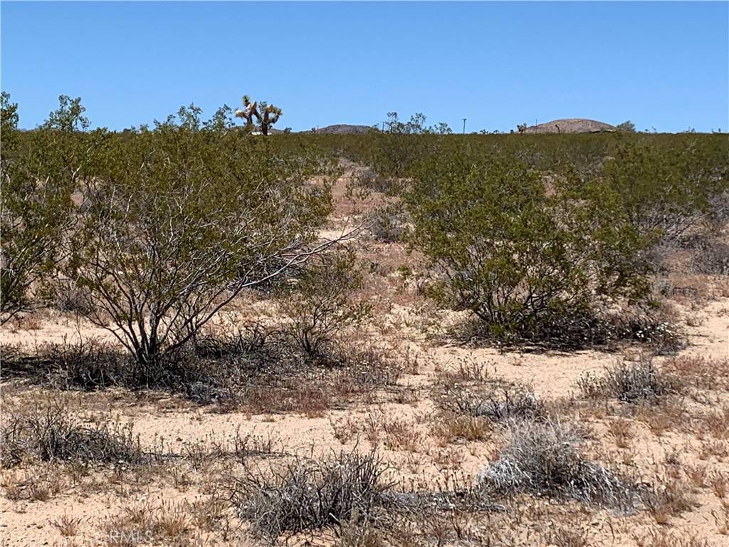 Joshua Tree, CA 92252,0 Sunny Sands DR