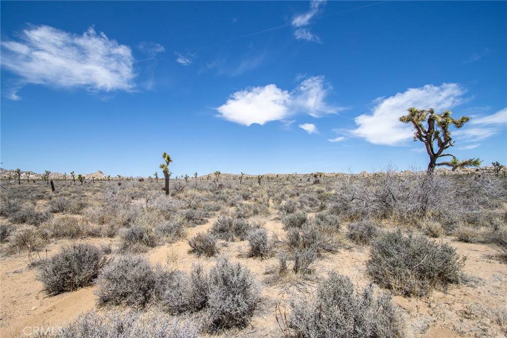 Pioneertown, CA 92268,52272 Gamma Gulch RD