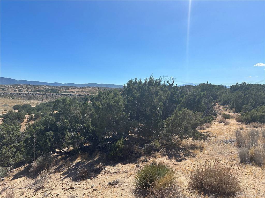 Hesperia, CA 92345,0 Near Las Flores RD