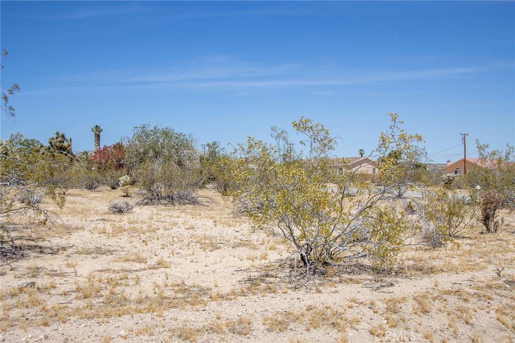Joshua Tree, CA 92252,63000 Jadeite ST