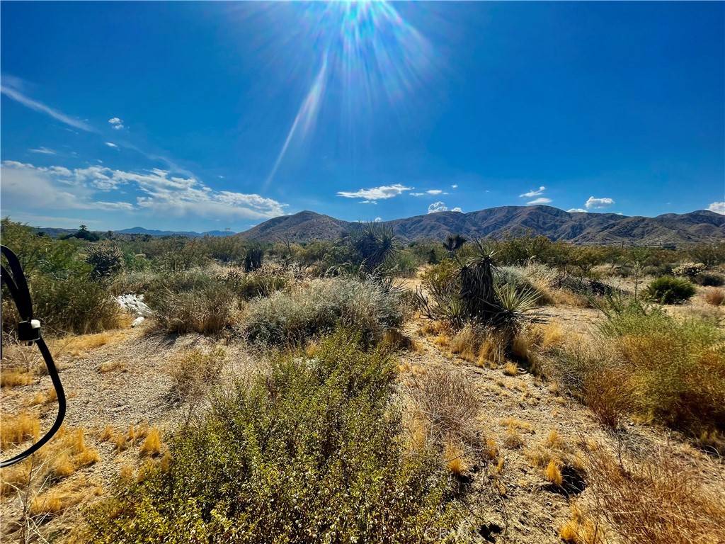 Morongo Valley, CA 92256,49425 Recuerdo LN