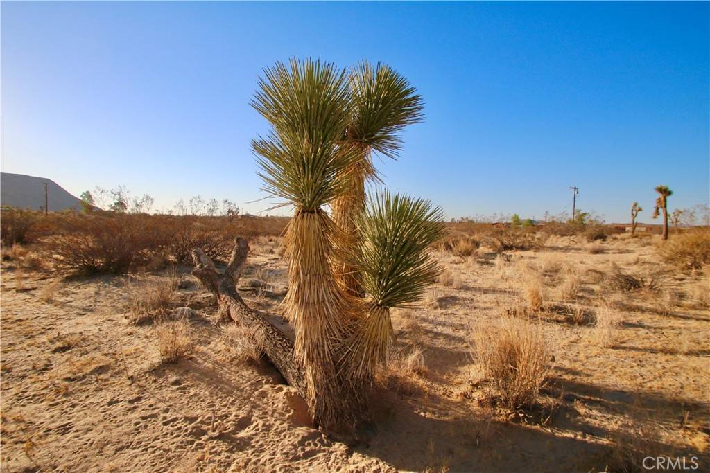 Landers, CA 92285,58129 Rocky Acres RD