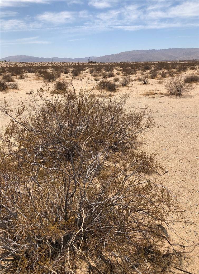 29 Palms, CA 92277,62832112 AMBOY RD AT PARKER RD