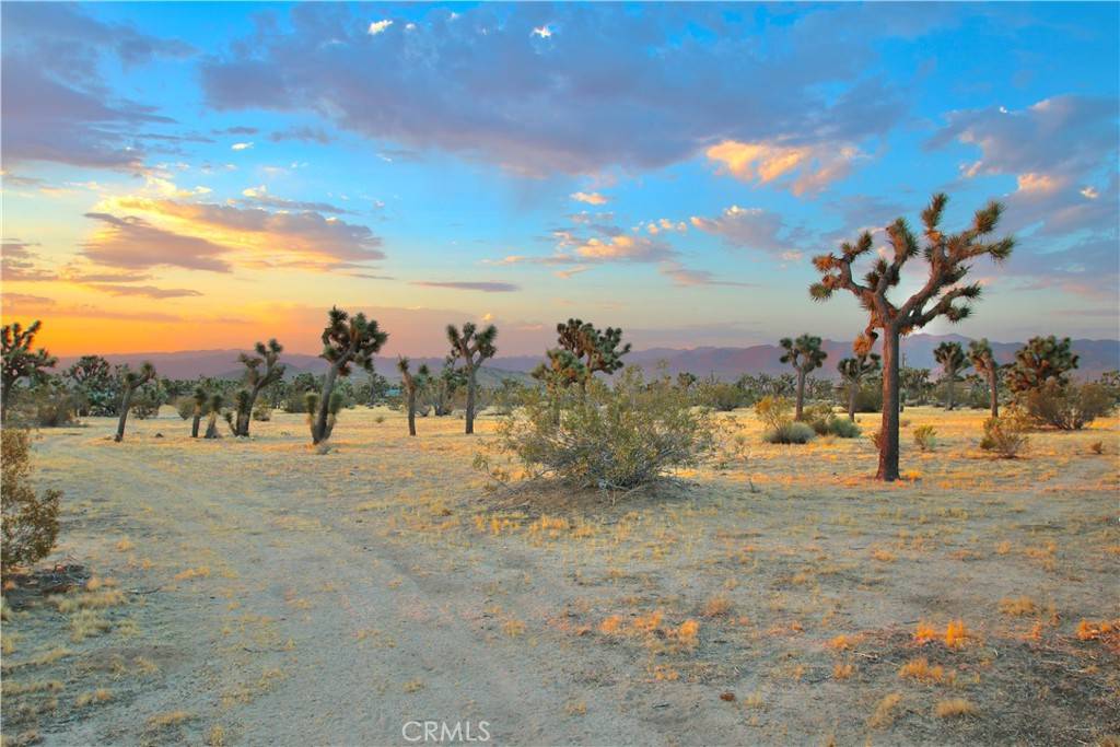 Yucca Valley, CA 92284,0 Forrest DR