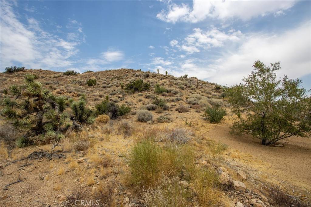 Yucca Valley, CA 92284,55700 Golden Bee DR