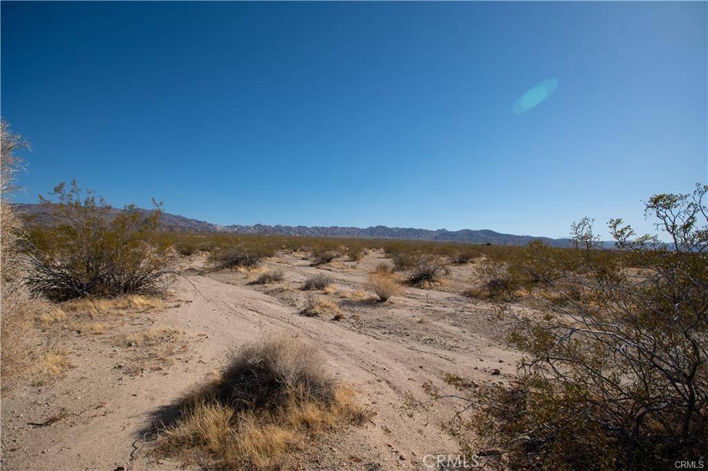 29 Palms, CA 92277,12 Pampas