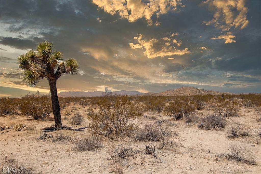 Joshua Tree, CA 92252,2000 Celeste RD