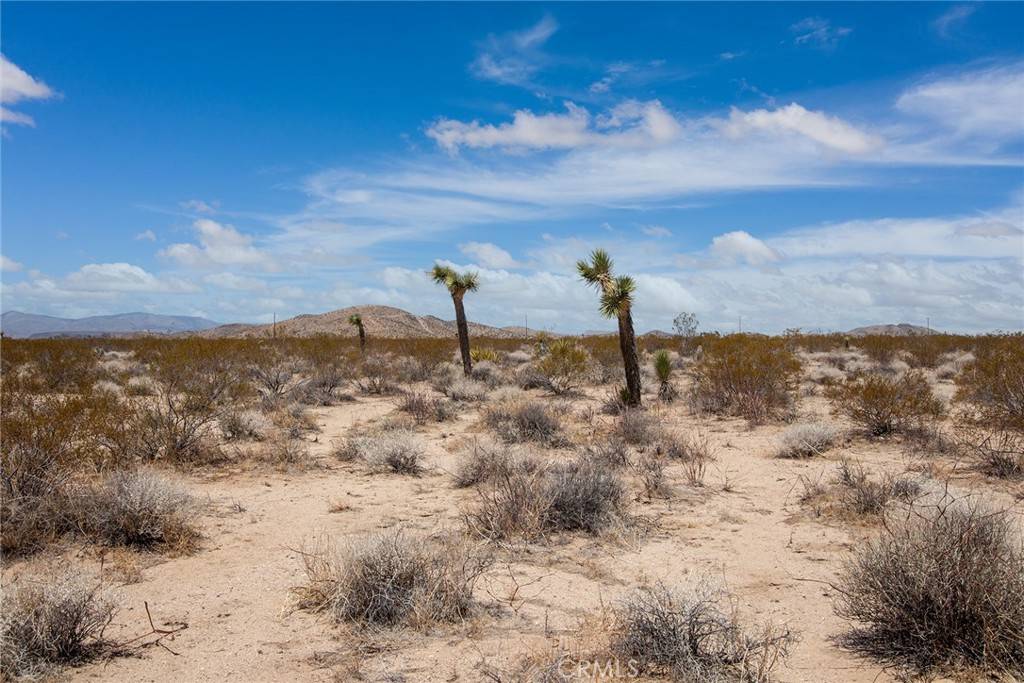 Joshua Tree, CA 92252,3000 Celeste RD