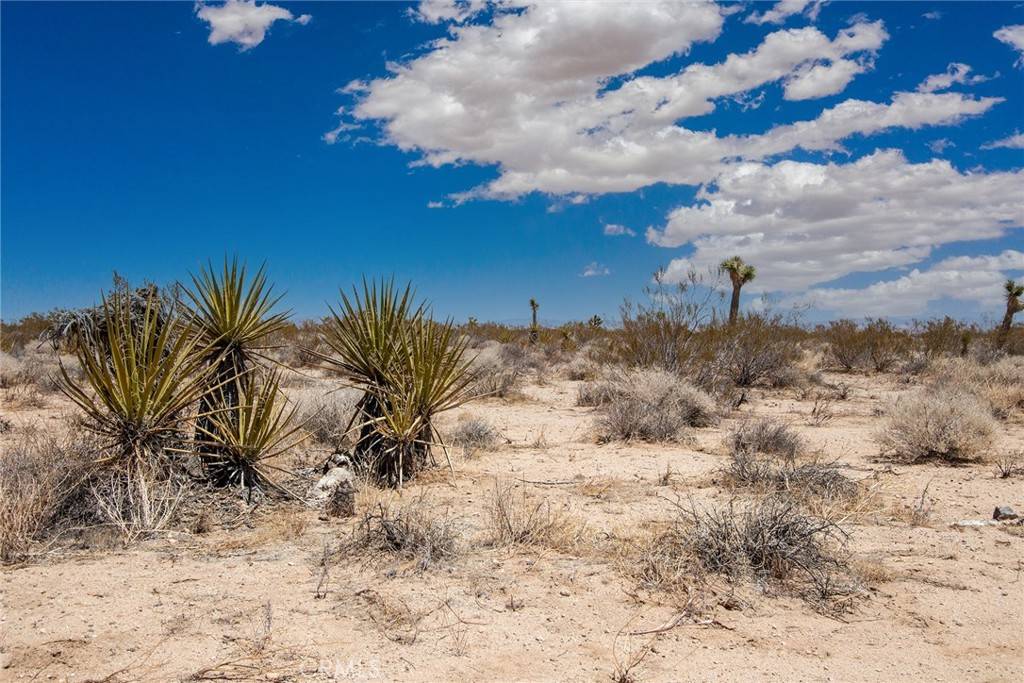 Joshua Tree, CA 92252,3000 Celeste RD