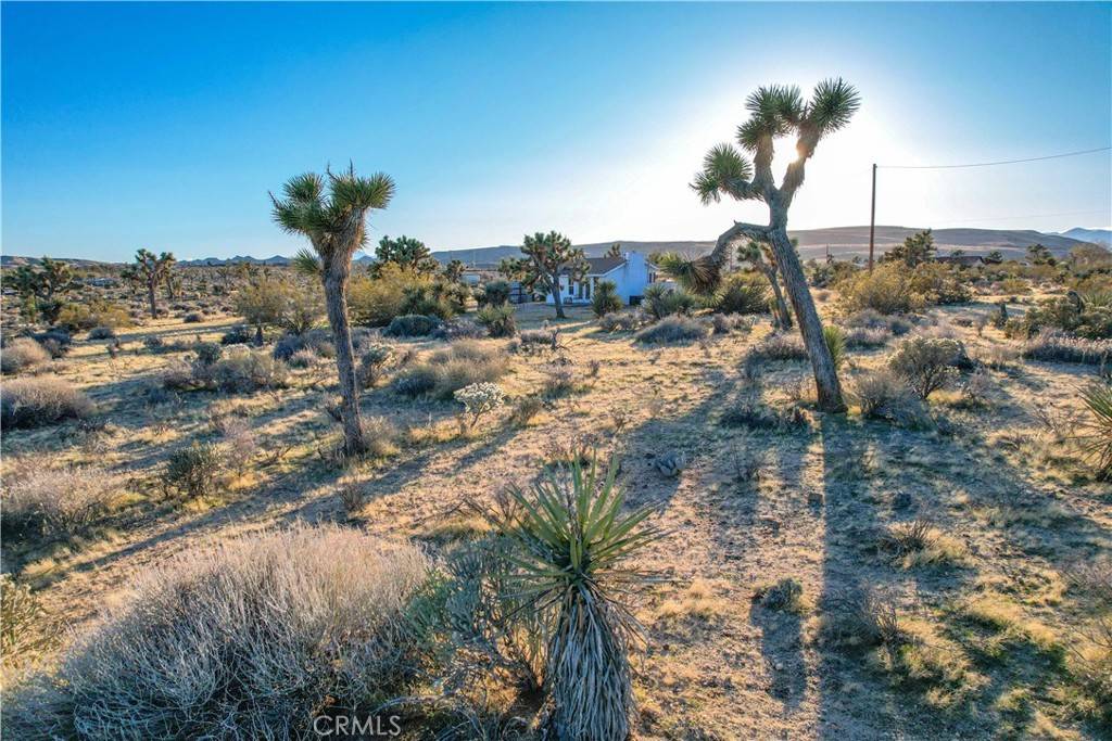 Yucca Valley, CA 92284,3567 Condalia AVE