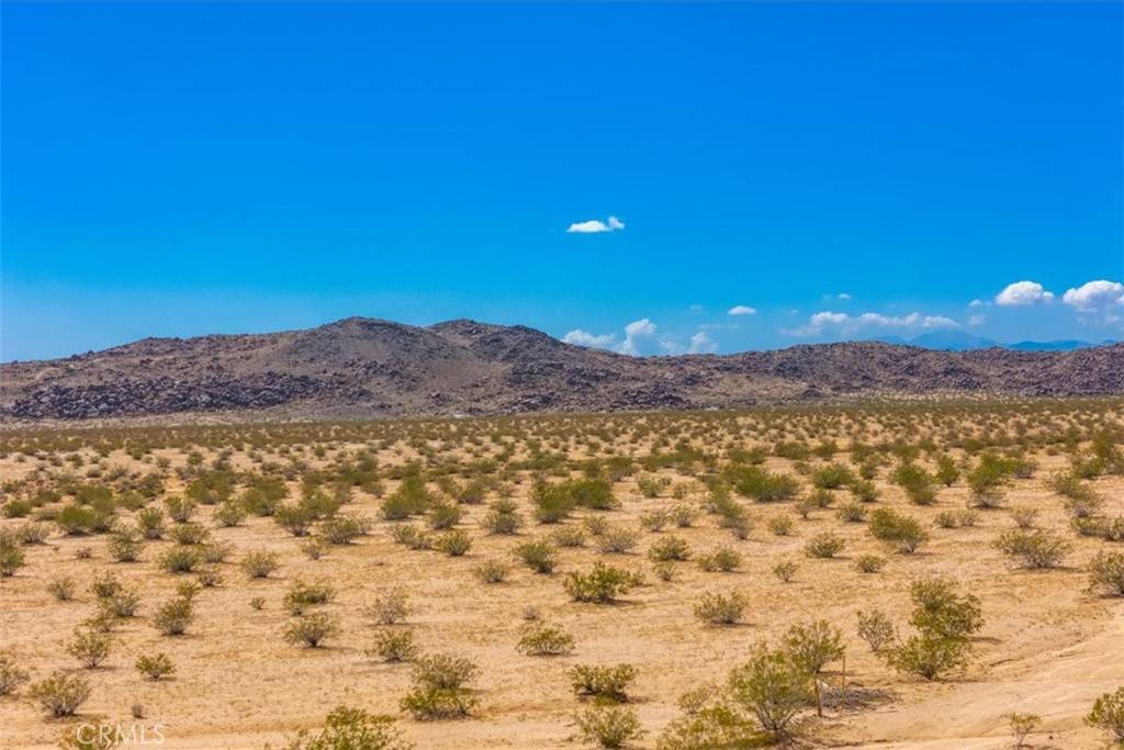 Joshua Tree, CA 92252,0 Wind Song AVE