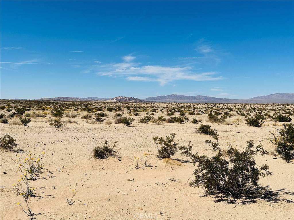 29 Palms, CA 92277,0 Near Shelton RD