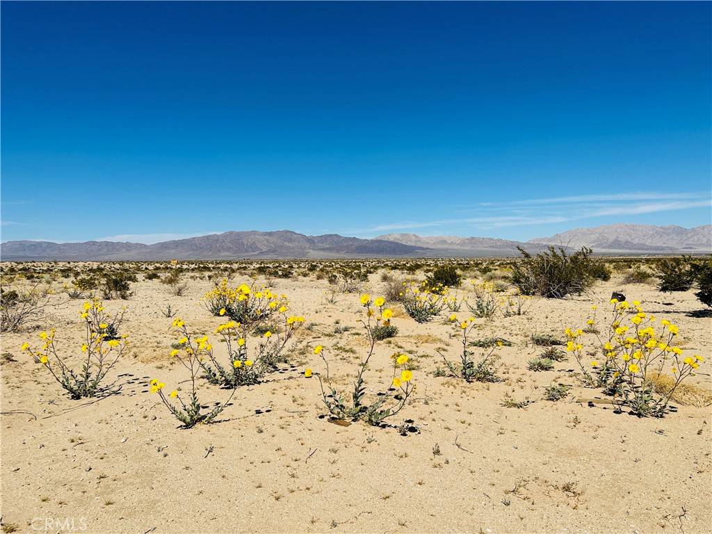 29 Palms, CA 92277,0 Near Shelton RD