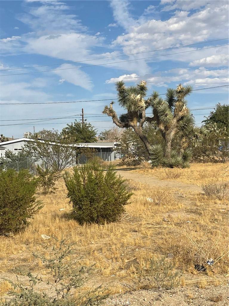 Yucca Valley, CA 92284,0 Hermosa AVE