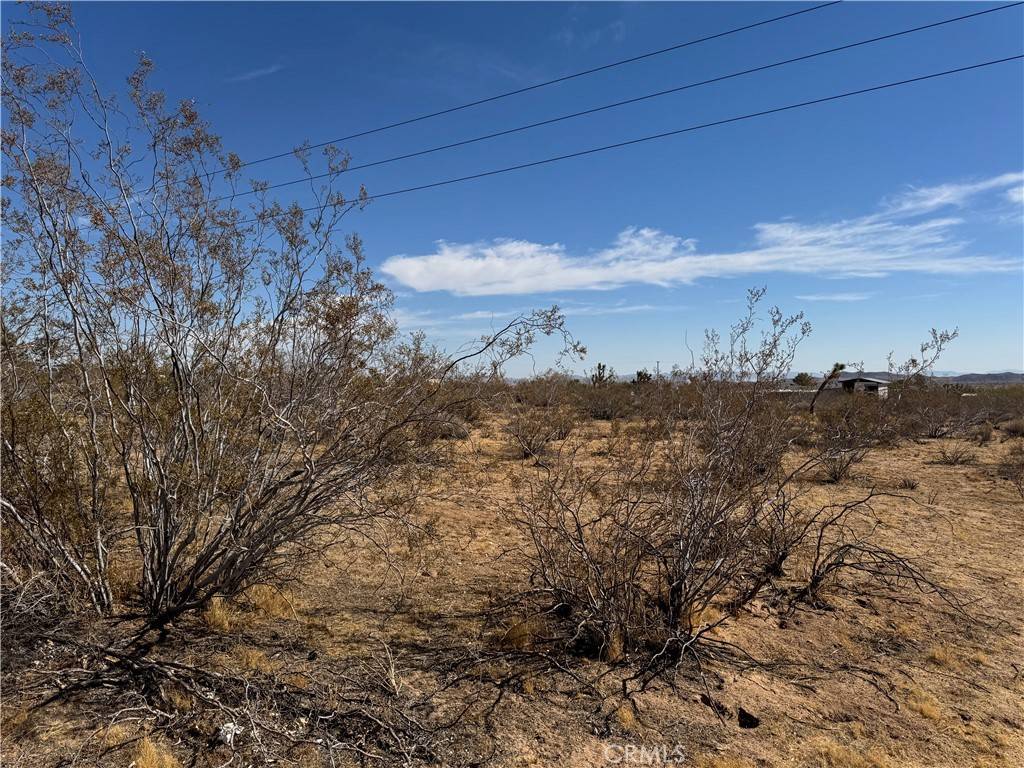 Yucca Valley, CA 92284,1175 Inca TRL