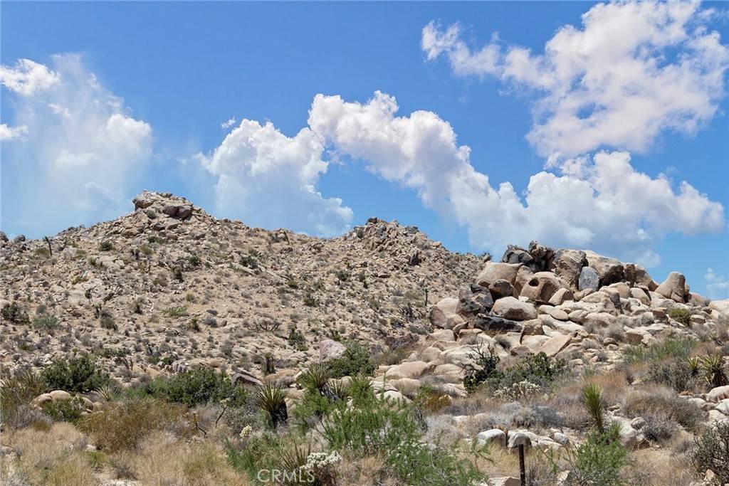 Joshua Tree, CA 92252,60300 Mountain TRL