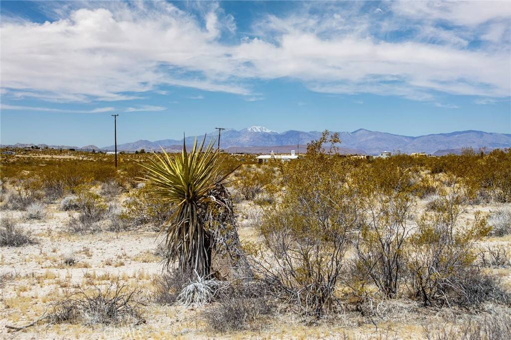 Joshua Tree, CA 92252,2830 Bonair RD