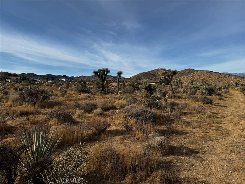 Yucca Valley, CA 92284,0 Plute TRL