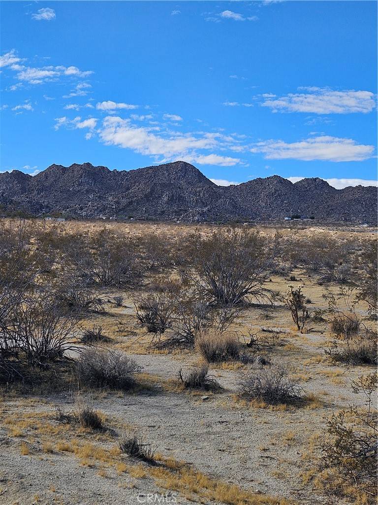 Joshua Tree, CA 92252,0 California AVE