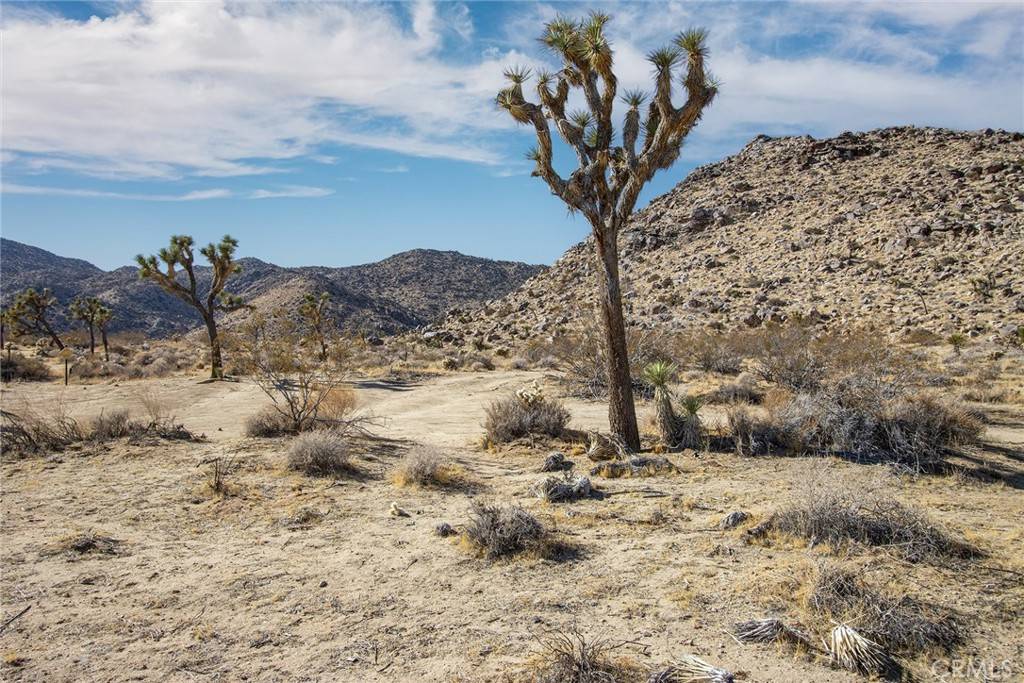 Joshua Tree, CA 92252,5 Sunset RD