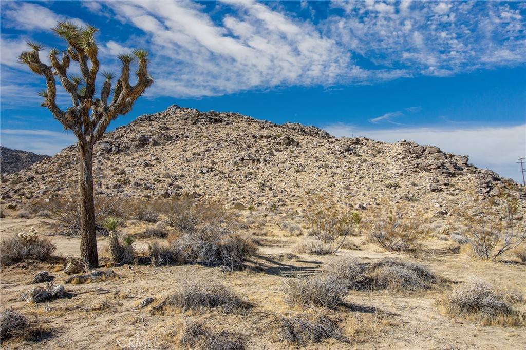 Joshua Tree, CA 92252,5 Sunset RD