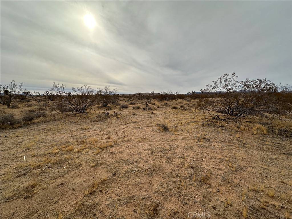 Yucca Valley, CA 92284,1 Canterbury