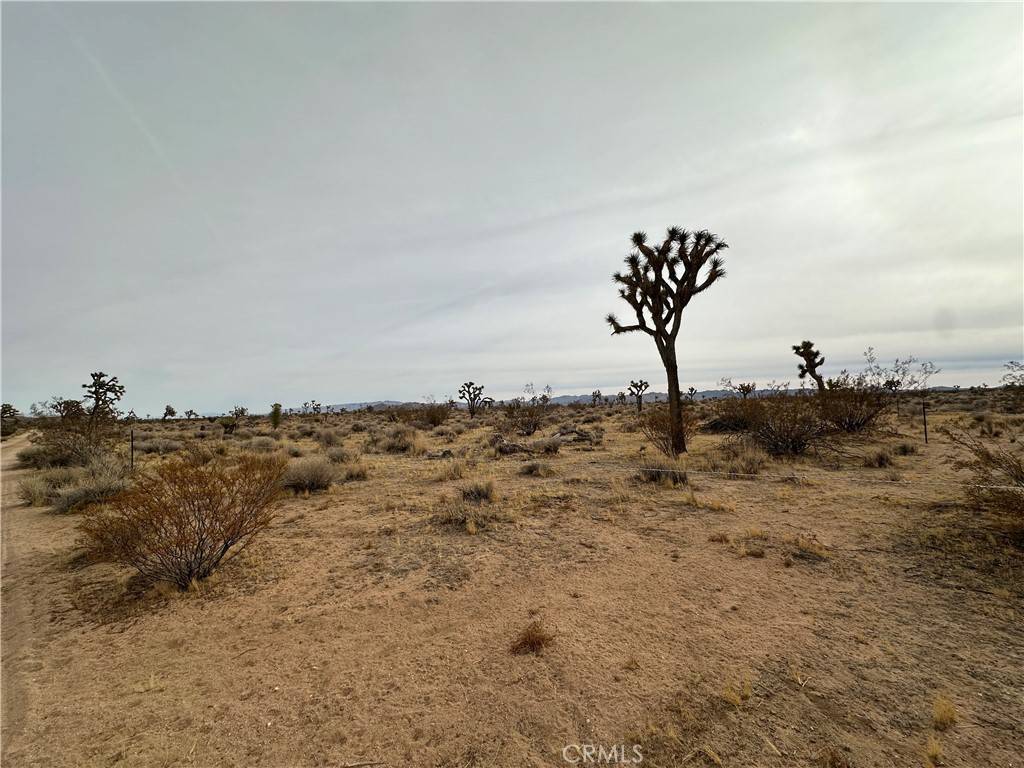 Yucca Valley, CA 92284,0 Canterbury