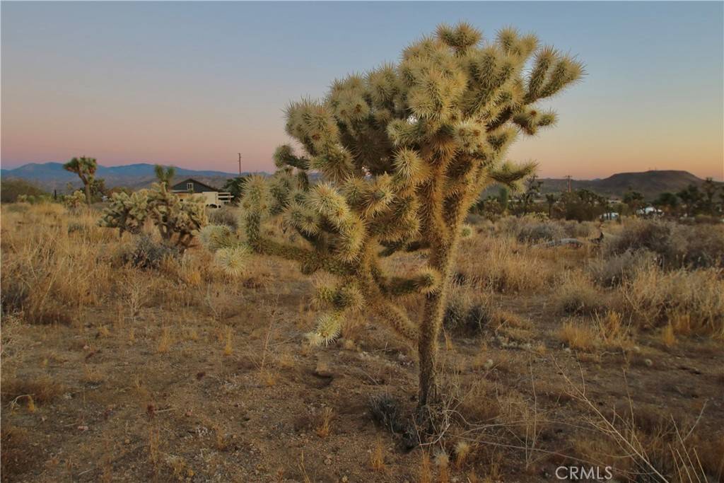 Joshua Tree, CA 92284,7635 La Contenta RD