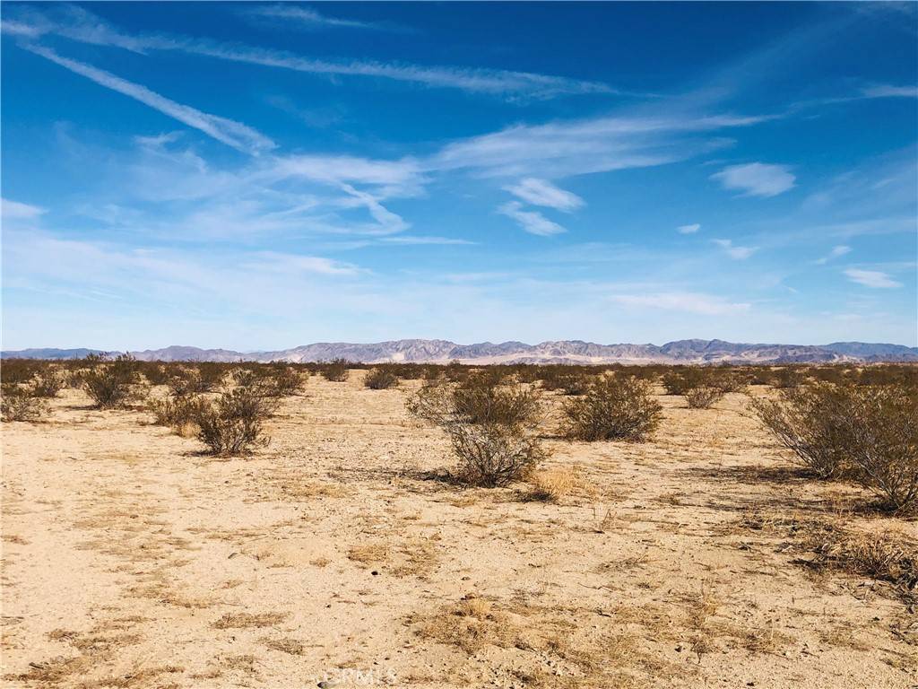 Joshua Tree, CA 92252,46 Desert Lily ST