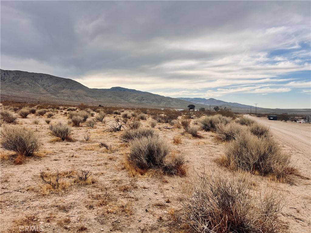 Johnson Valley, CA 92285,0 Ocotillo RD