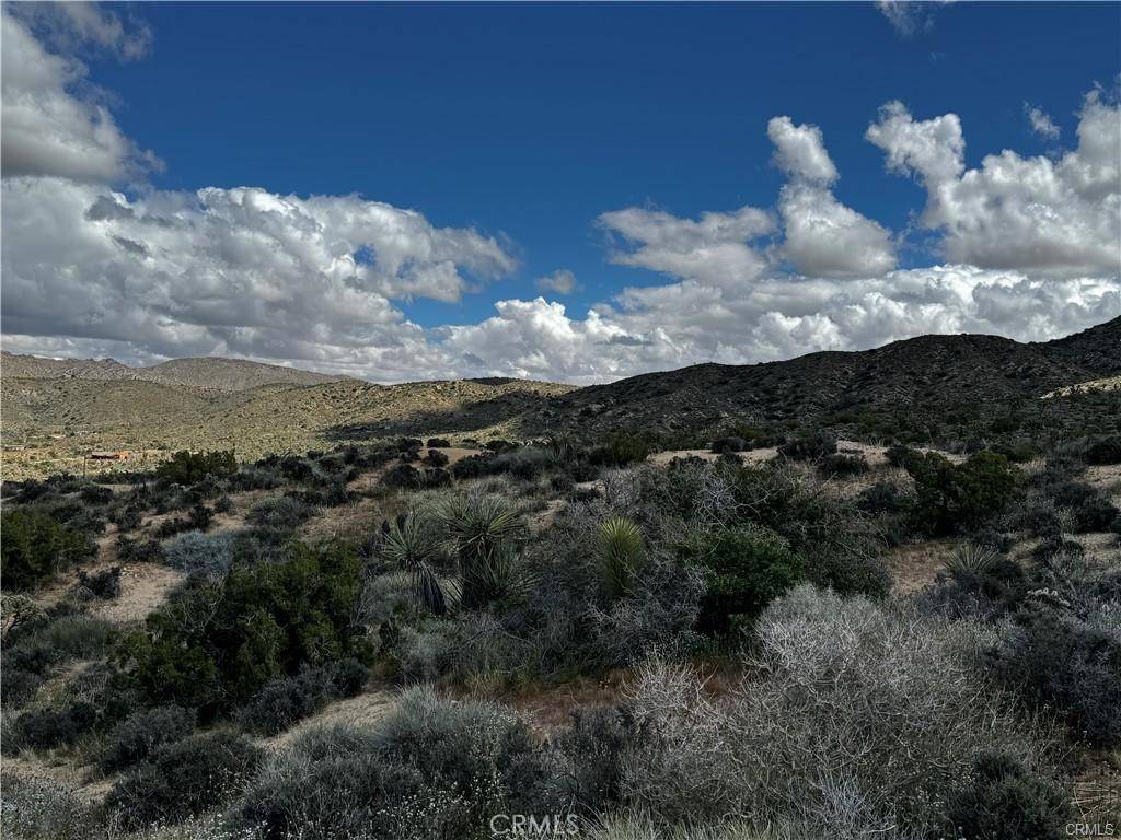 Yucca Valley, CA 92284,0 Benmar