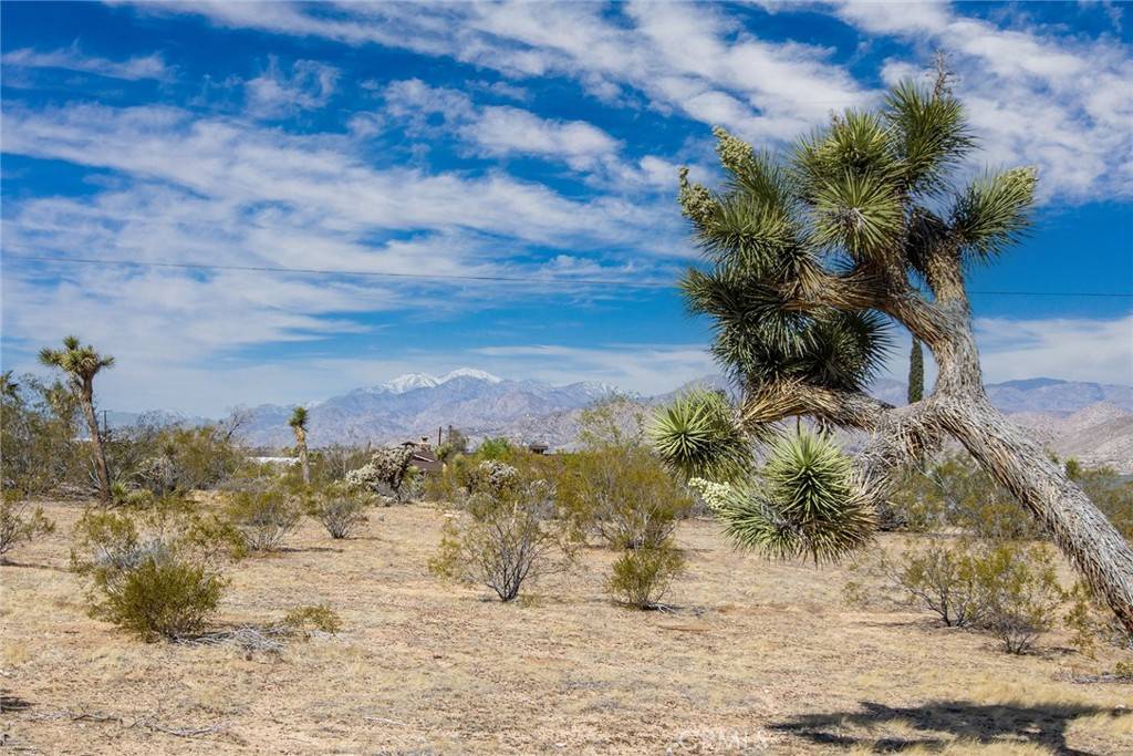Yucca Valley, CA 92284,7411 Alaba AVE