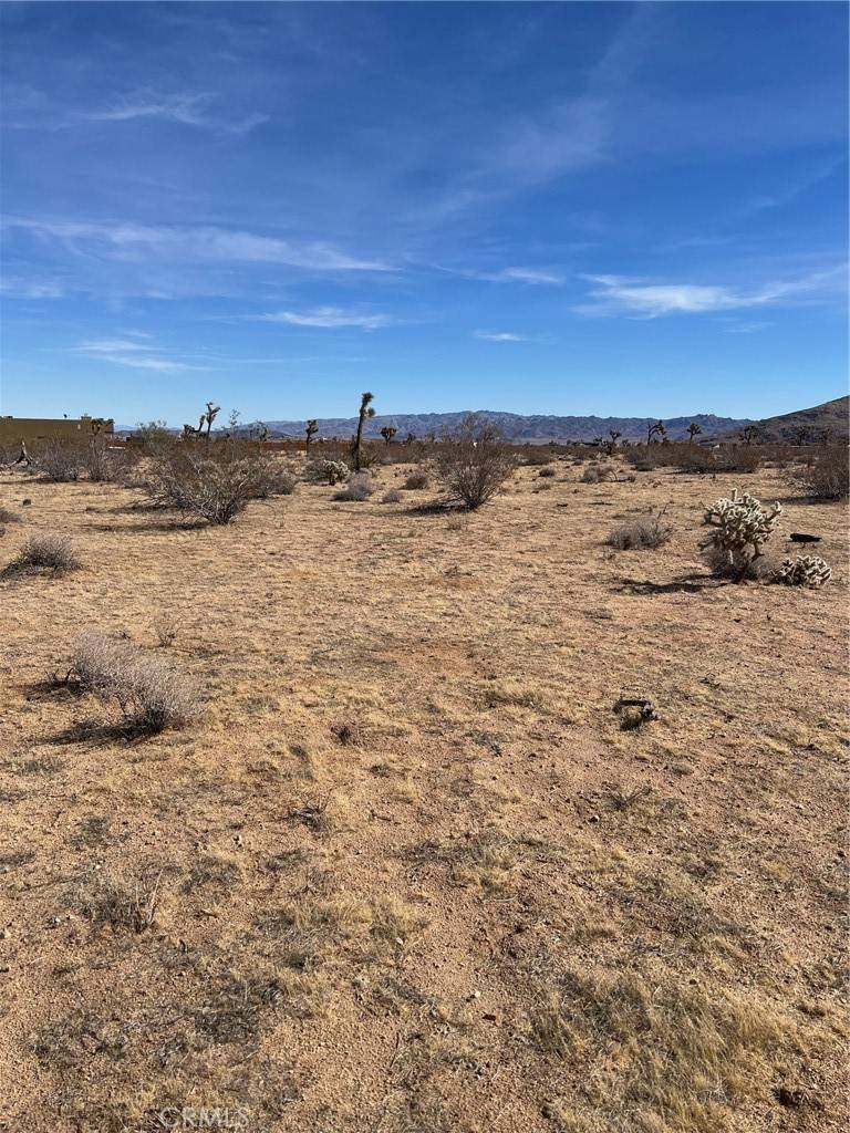 Joshua Tree, CA 92252,0 Fairmount DR