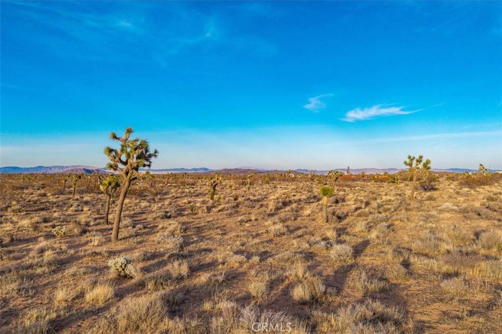 Yucca Valley, CA 92284,57016 Aberdeen DR