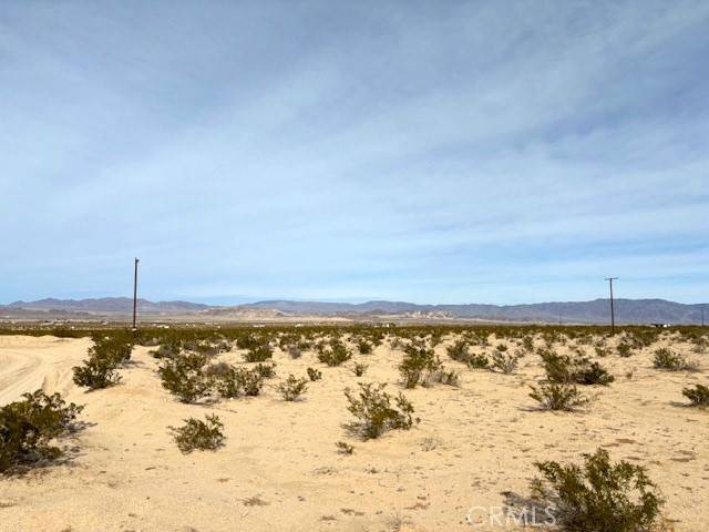 29 Palms, CA 92277,0 Primrose LN