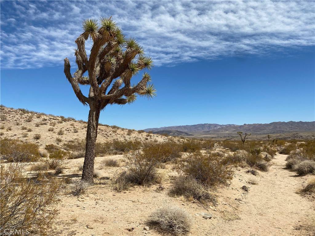 Joshua Tree, CA 92252,3025 Flamingo AVE