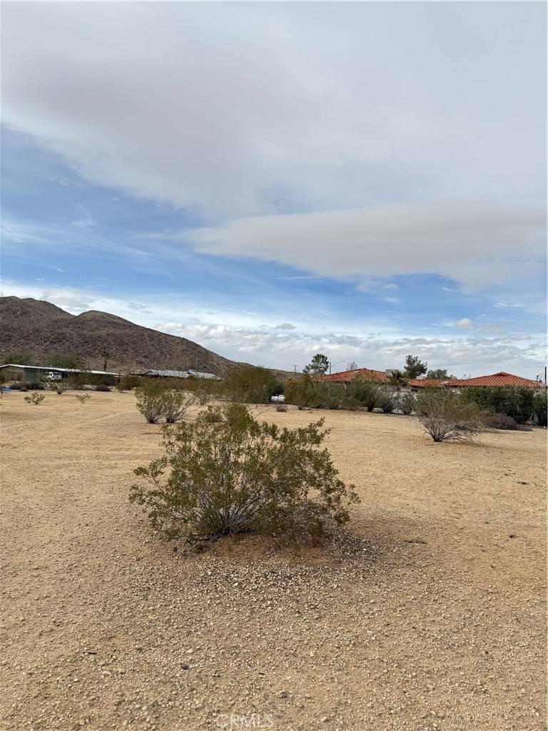 Joshua Tree, CA 92252,0 Avenida Del Sol
