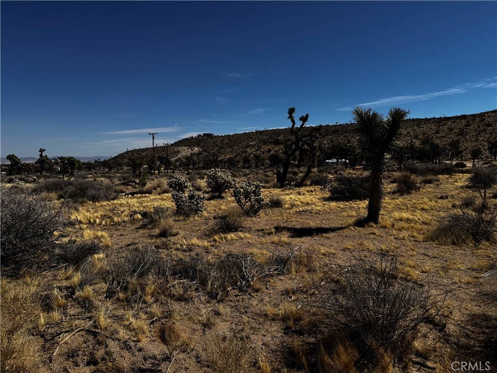 Yucca Valley, CA 92284,0 Faith