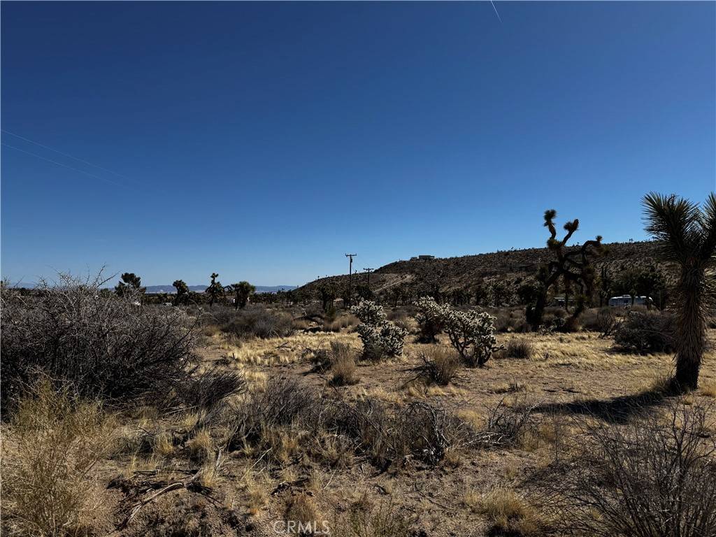 Yucca Valley, CA 92284,0 Faith