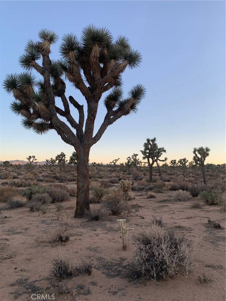 Yucca Valley, CA 92284,57816 Pajara RD