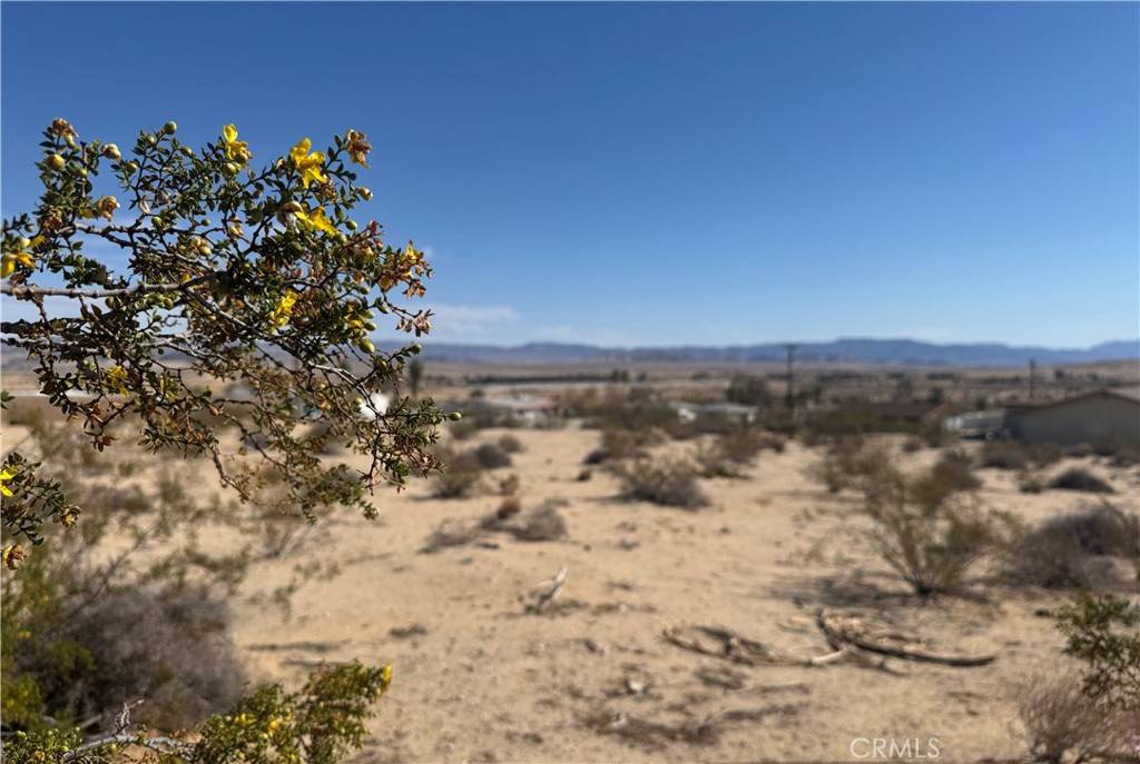 29 Palms, CA 92277,73735 Manana DR