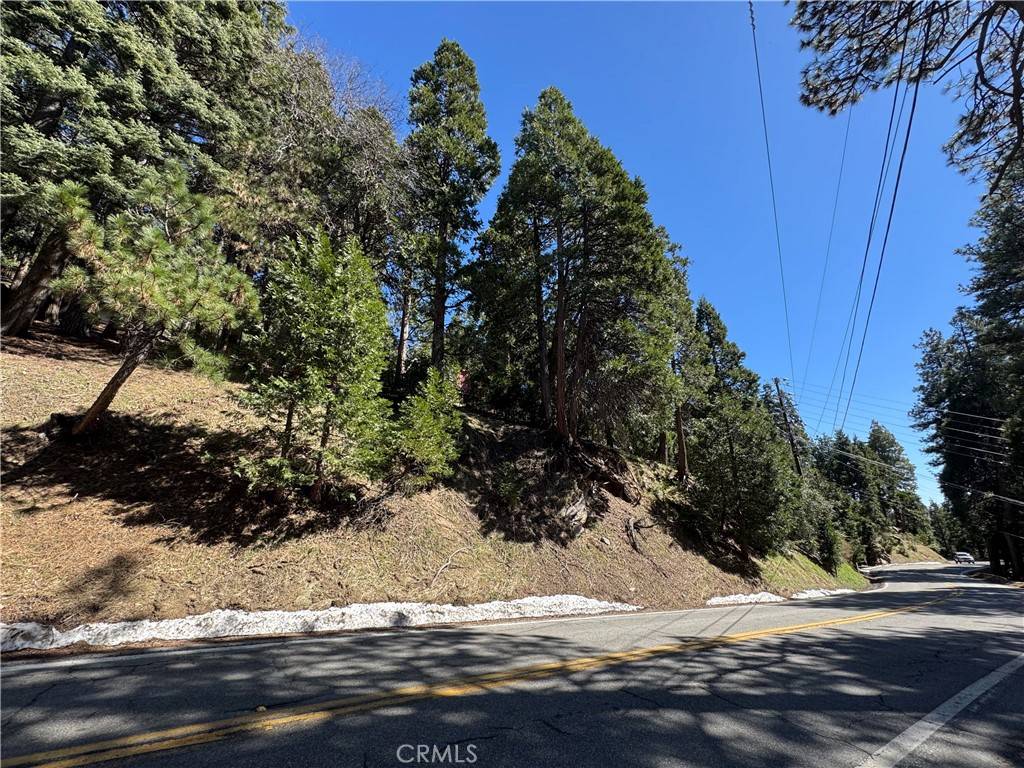 Twin Peaks, CA 92391,0 North RD